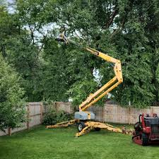 Best Tree Preservation Services  in Watertown, SD