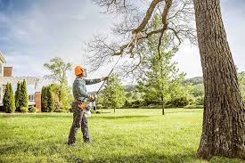 Best Tree Maintenance Programs  in Watertown, SD